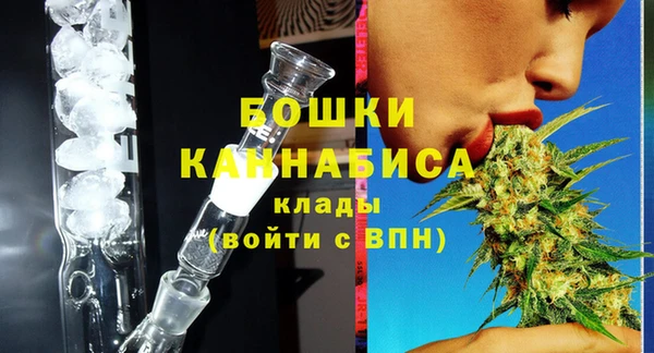 прущий лед Вяземский