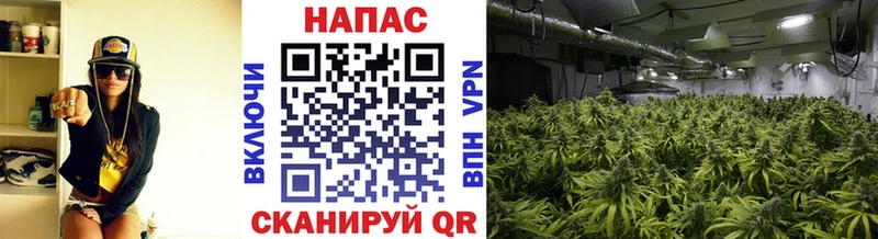 где купить наркоту  Белозерск  Канабис White Widow 